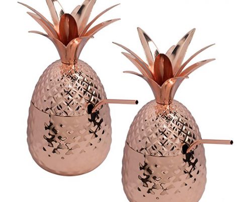 BonBon Copper Pineapple Cup 2-Pack Tumbler With Copper Straw, 17 OZ (Set of 2) Review