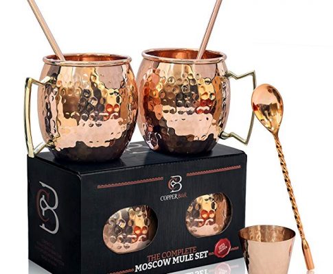 Moscow Mule Mugs 100% Solid Copper, FOOD SAFE, Gift Set of 2, 16oz, Hammered, No Nickel, BONUS: 2 Straws + 1 Shot Glass + Stirrer & 2 E-Books by Copper-Bar Review